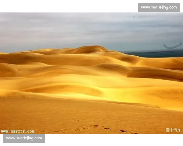 阳光沙海燃动青岛:世界沙排巡回赛演绎肌肉线条与海浪的交响 阳光沙海燃动青岛:世界沙排巡回赛演绎肌肉线条与海浪的交响